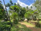 Rubber Gem Land for Sale Ratnapura