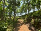 Rubber Estate for Sale in Aparekka Matara