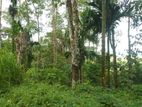 Land for Sale Rathnapura