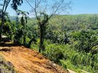 Rubber Land 2.5 Acres for Sale in Eheliyagoda