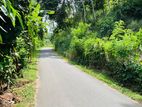 Rubber Land for Sale in Dewalegama