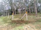 Rubber Land for Sale in Kekuladola, Hadapangoda