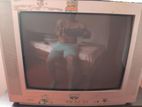 Singer 21 Inch TV With Stand