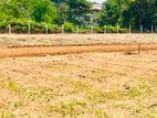 රුවන්වැලි මහාසෑයට විනාඩි 5ක් දුරින් සින්නක්කර ඉඩමක් විකිනිමට