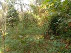 Ruwanwella Land for Sale (SSPL-261)