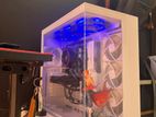 Ryzen 5 5500 Gaming Pc