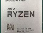Ryzen 5 5600 Processor