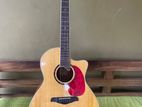 S Yairi Semi Acoustic Guitar ( YE 50N)