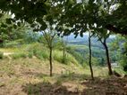 (S225) 20 Perch Bare Land for Sale in Kandy Hindagala Mahakanda