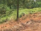 (S226) 300 Perch Bare Land for Sale in Nawalapitiya Ulapane