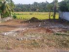 ⭕️ (S495) 20,10 perch Bare Land for Sale in Horana