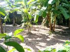 (s512) 12.5 Perch Bare Land for Sale in Kadawatha