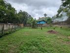 🏡🔥 සාදාරන මිලට කිරිබත්ගොඩ - මාකොල වටිනා ඉඩම් කැබලි දෙකක් / CA 14592