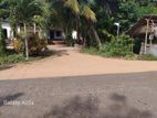 House with Land for Sale in Nochchiyagama