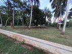 සාලියමාවත අවසාන සින්නක්කර බිම් කොටස