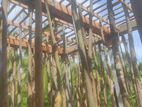 සැටලිම Shuttering