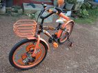 Safari Bicycle 20’ Size