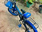 safari bycycle