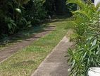Sale Borella Valuable Piece of Land With A Single Story House For