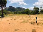 Sale for land in Dambulla,