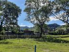 Sale for Land in Facing Kandalama Road,Dambulla