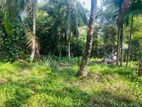 Land for Sale Rilawala