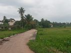 Sale Kottawa, Flooding Free, Rectangular Land With Old House (NZMS3022)
