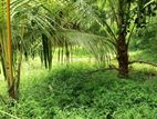 Sale, Kottawa Rectangle Shaped Land For Sale (NZMS3071)