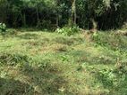 Sale Malabe, Flood free Residential Land(NZMS3040)