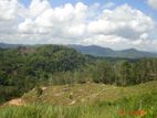 Sale Mathugama, Scenic Estate For (NZMS3025)