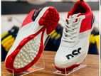 Cricket Shoes