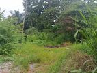 Sale Pelawatta, Valuable Residential Land (NZMS3037)