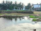 Land for Sale Kalmunai