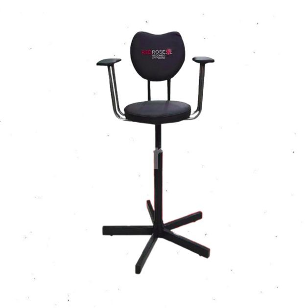 Salon Baby Chair for Sale in Negombo ikman
