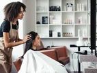 Salon / Beauty Parlor Business as a Company
