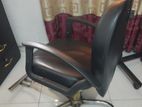 Salon Chair with Facial Bed