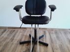 Salon Chair