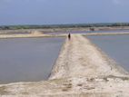 Saltern Project for Sale in Puttalam District