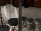 Samic 5 strings free amp Bass guitar