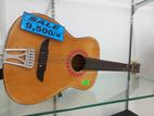 Samick Box Guitar