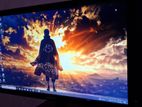 Samsung 22" full HD Monitor