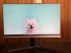 Samsung 22 IPS Frameless Monitor