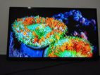 samsung 32 inch led tv