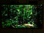 Samsung 55" QLED 4K Smart TV