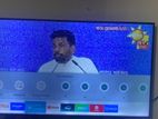 Samsung 55 Inch TV