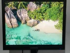 Samsung Monitor