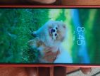 Samsung Galaxy A03s (Used)