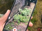 Samsung Galaxy A16 2024 (Used)