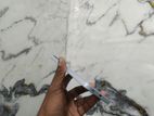Samsung Galaxy A16 (Used)