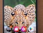 Samsung Galaxy A17 (Used)